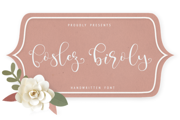 Choosing the Right Font for Your Website: Foslez Biroly in Action