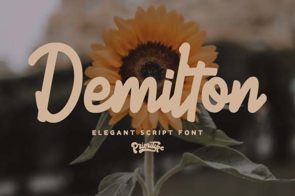 Demilton: The Font That Elevates Your Brand