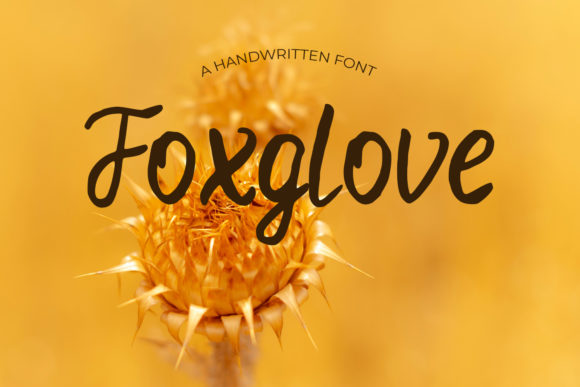 Foxglove