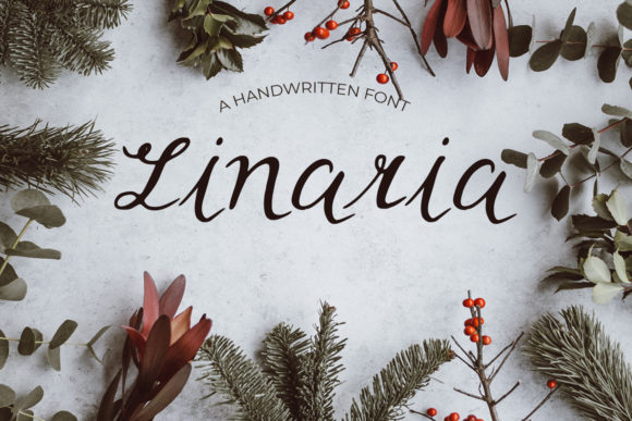 Linaria: A Font That Elevates Branding with Elegance