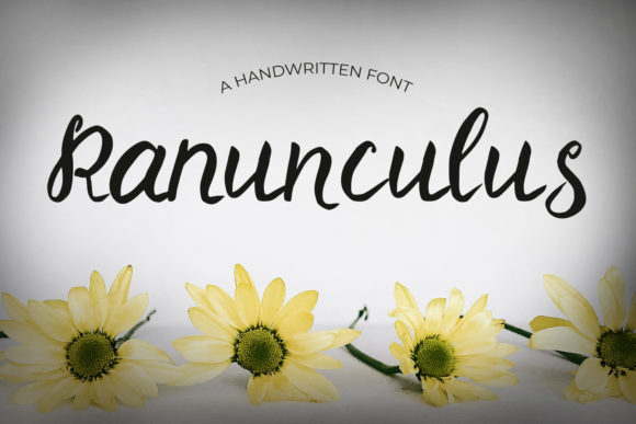 Ranunculus: A Delicate Script Font for Handmade Crafters