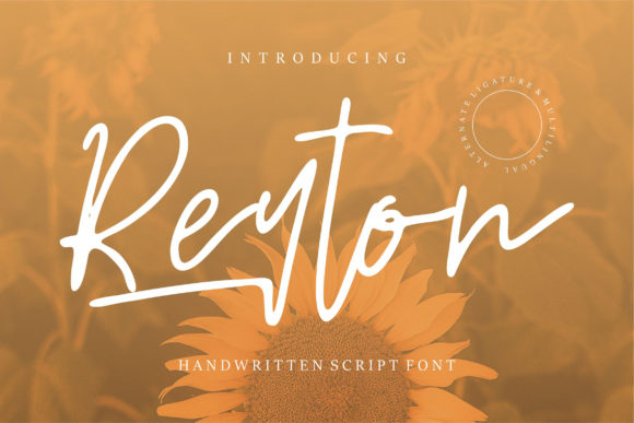 Reyton: The Font That Elevates Every Campaign