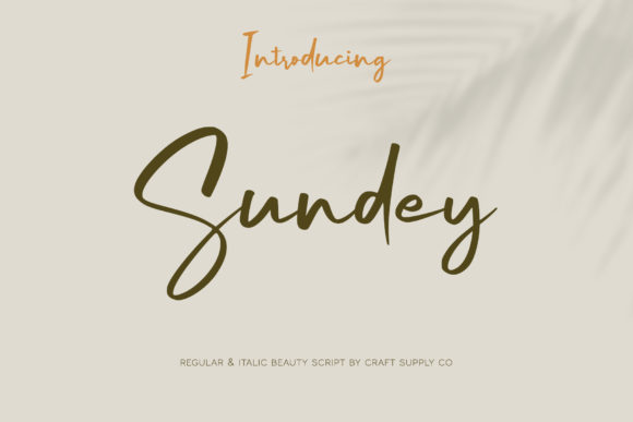 Sundey: A Delicate Handwritten Font for Branding and Design
